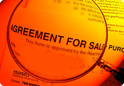 contract_magnify contract_magnify