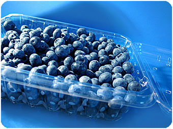 Blueberries.jpg