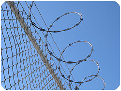 razor_wire.jpg